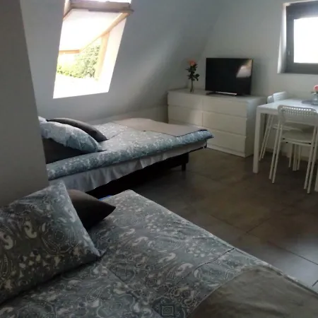 Проживание в семье Centrum