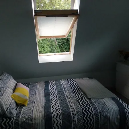 Проживание в семье Centrum